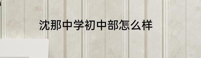 沈那中学初中部怎么样