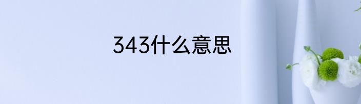 343什么意思