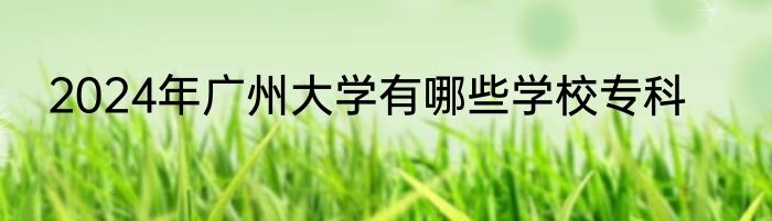 2024年广州大学有哪些学校专科