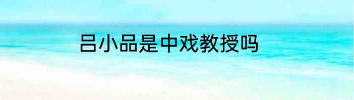 吕小品是中戏教授吗