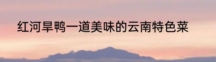 红河旱鸭一道美味的云南特色菜
