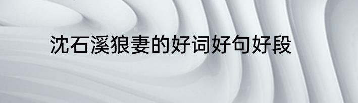 沈石溪狼妻的好词好句好段