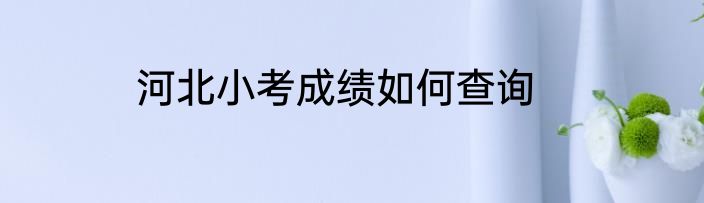河北小考成绩如何查询