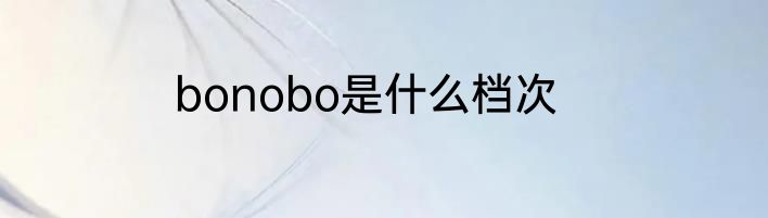 bonobo是什么档次