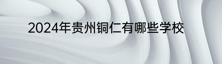2024年贵州铜仁有哪些学校