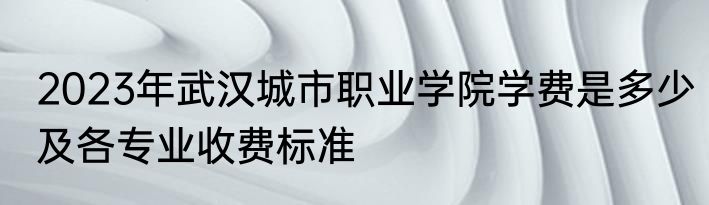 2023年武汉城市职业学院学费是多少及各专业收费标准