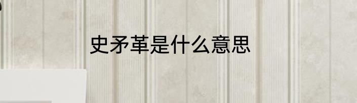 史矛革是什么意思