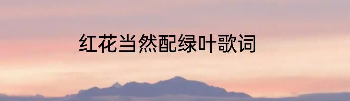 红花当然配绿叶歌词