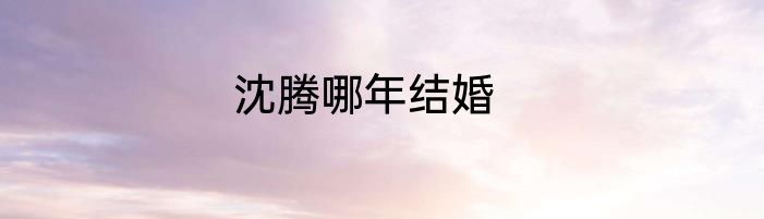 沈腾哪年结婚