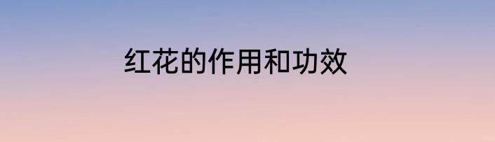 红花的作用和功效