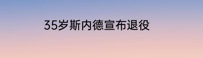 35岁斯内德宣布退役