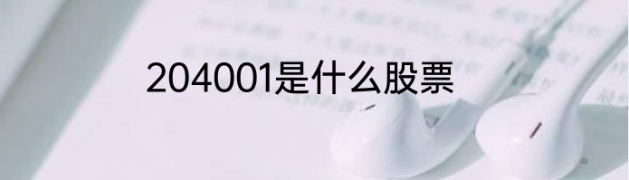 204001是什么股票