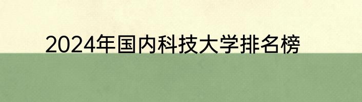 2024年国内科技大学排名榜
