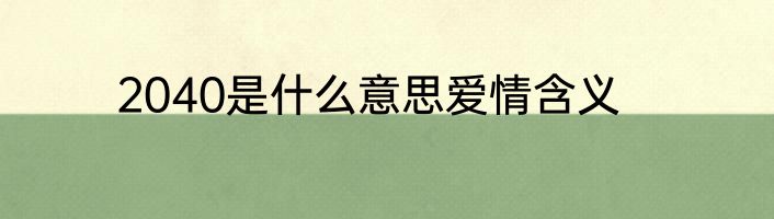 2040是什么意思爱情含义