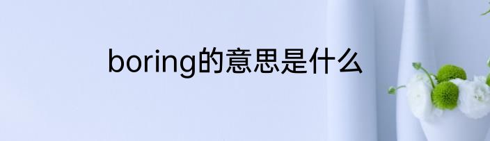 boring的意思是什么