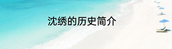 沈绣的历史简介