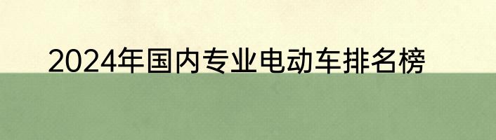 2024年国内专业电动车排名榜