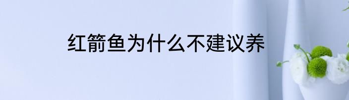 红箭鱼为什么不建议养