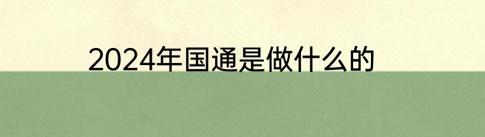 2024年国通是做什么的