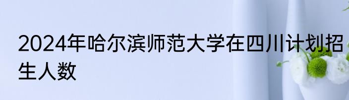 2024年哈尔滨师范大学在四川计划招生人数