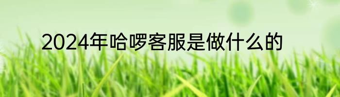 2024年哈啰客服是做什么的