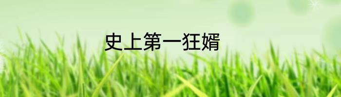 史上第一狂婿