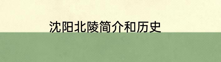 沈阳北陵简介和历史