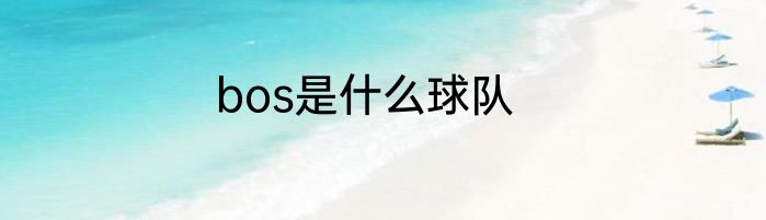 bos是什么球队