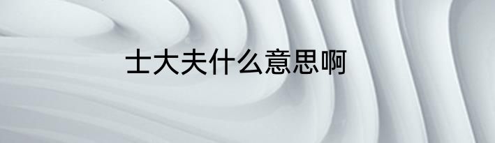 士大夫什么意思啊
