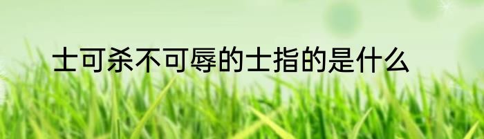 士可杀不可辱的士指的是什么