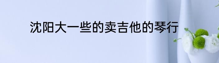沈阳大一些的卖吉他的琴行
