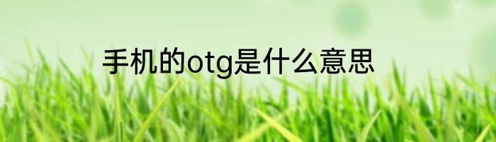 手机的otg是什么意思