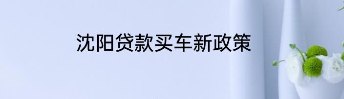 沈阳贷款买车新政策