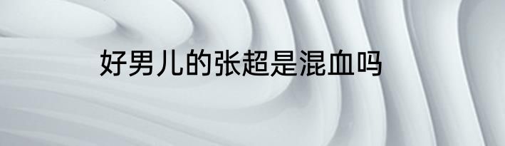 好男儿的张超是混血吗