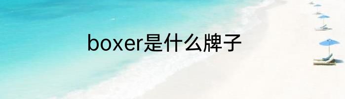 boxer是什么牌子