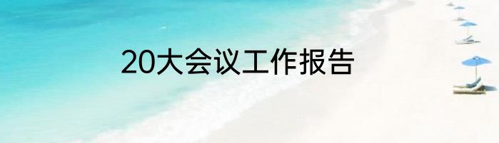 20大会议工作报告