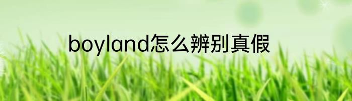 boyland怎么辨别真假