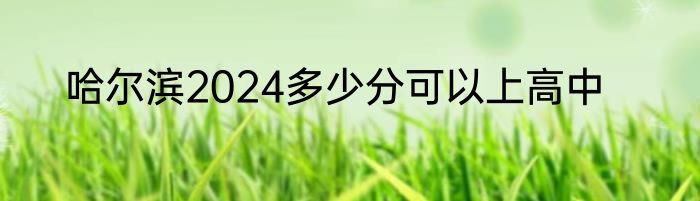 哈尔滨2024多少分可以上高中