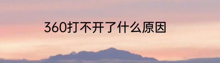 360打不开了什么原因