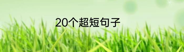 20个超短句子