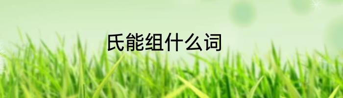 氏能组什么词