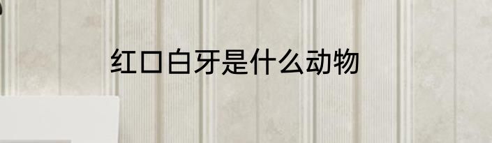 红口白牙是什么动物