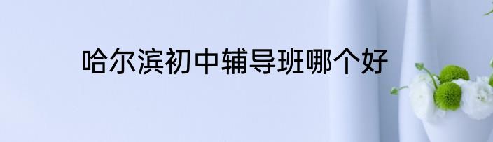 哈尔滨初中辅导班哪个好