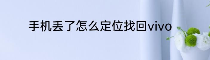 手机丢了怎么定位找回vivo