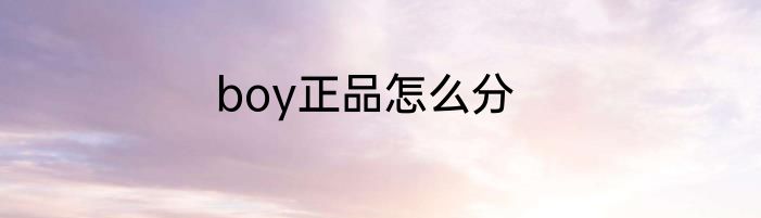 boy正品怎么分