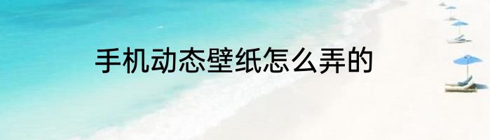 手机动态壁纸怎么弄的