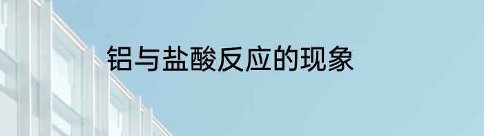 铝与盐酸反应的现象
