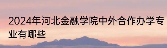 2024年河北金融学院中外合作办学专业有哪些
