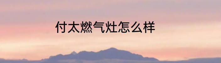付太燃气灶怎么样