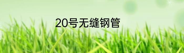 20号无缝钢管